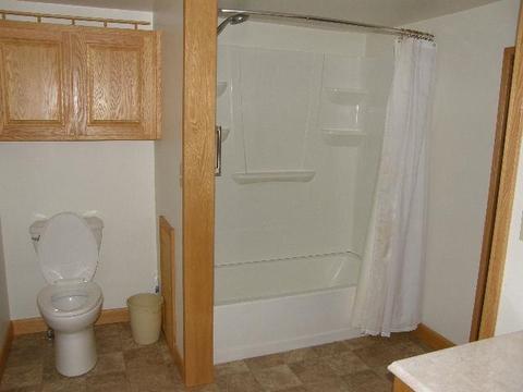 240 Doyle, Hemlock, MI 48626 photo 22