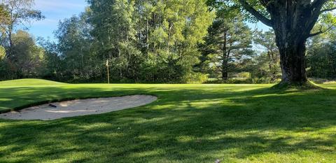 37 Fox Run Drive, Grayling, MI 49738 photo 9