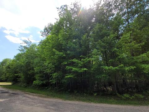 37 Fox Run Drive, Grayling, MI 49738 photo 5