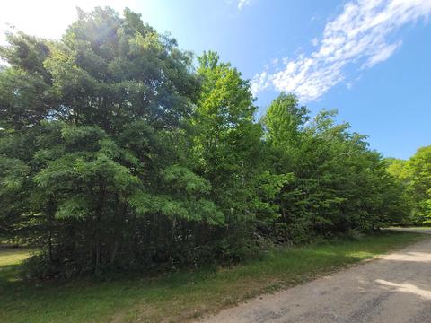 37 Fox Run Drive, Grayling, MI 49738 photo 7