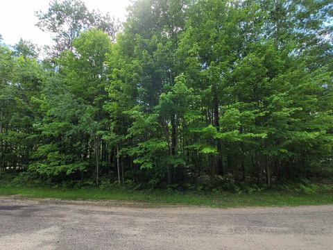 37 Fox Run Drive, Grayling, MI 49738 photo 4