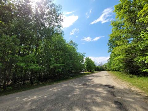 37 Fox Run Drive, Grayling, MI 49738 photo 6