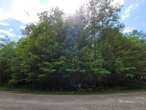 37 Fox Run Drive, Grayling, MI 49738 photo 8