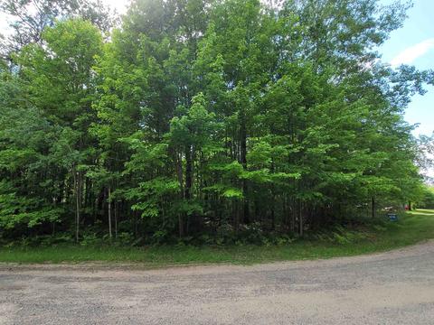 37 Fox Run Drive, Grayling, MI 49738