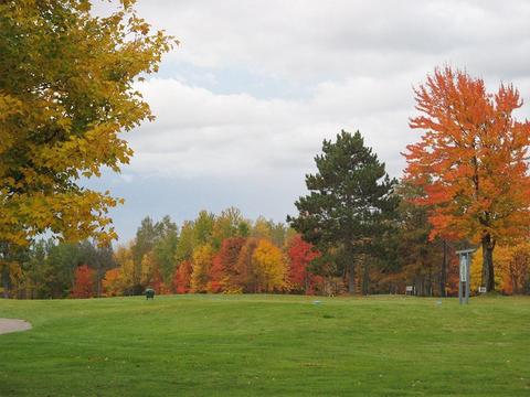 37 Fox Run Drive, Grayling, MI 49738 photo 2