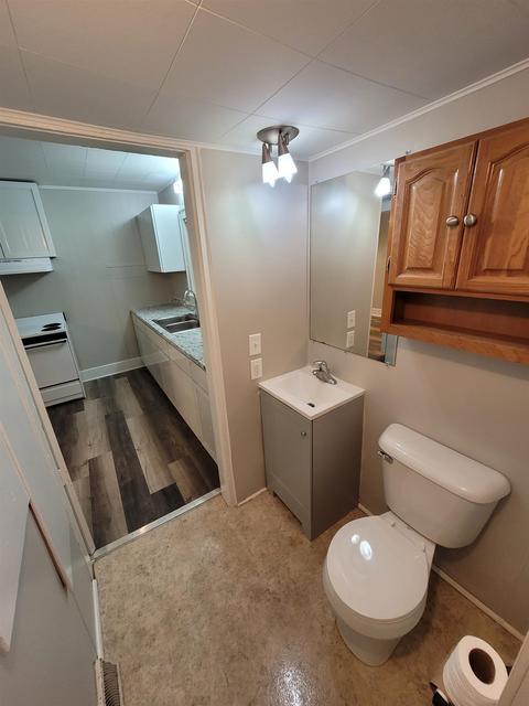 910 Ely, Alma, MI 48801 photo 15