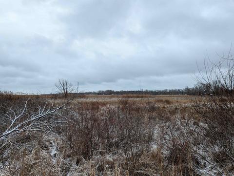 N/a Midshipman, Au Gres, MI 48703