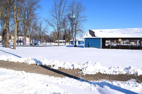 308 E Adams, Coleman, MI 48618 photo 20