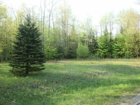 00 Spring Vly, Cadillac, MI 49601