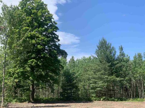 Lot 13 Metzgar, Kalkaska, MI 49646