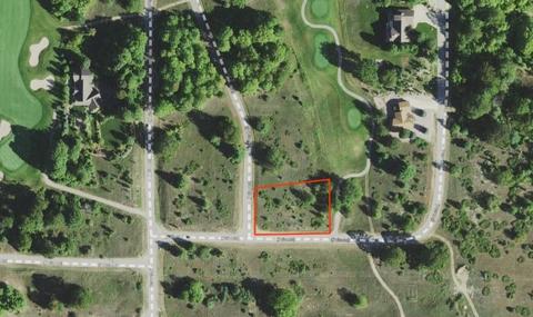 42 Broadwinged #LOT : 42, Bellaire, MI 49615