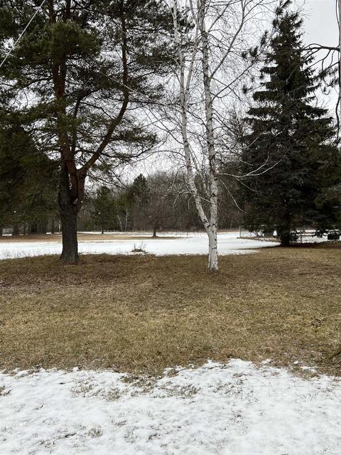 1918 Wright, Cadillac, MI 49601 photo 9