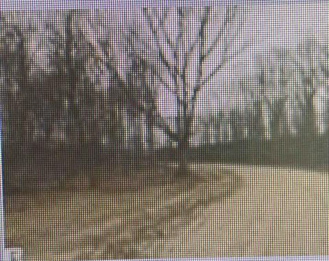 000 Ridge, Mount Pleasant, MI 48858 photo 6