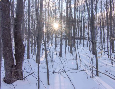 000- Unit 44 Mountain Woods Dr, Thompsonville, MI 49683