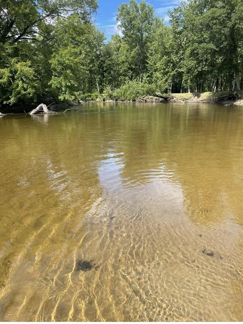 9585 Doe, Harrison, MI 48625 photo 4