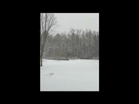 9585 Doe, Harrison, MI 48625 photo 55