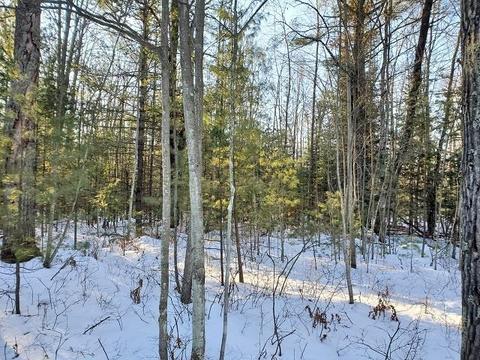 0 Pinecrest, Prescott, MI 48756