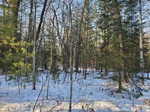 0 Pinecrest, Prescott, MI 48756 photo 3
