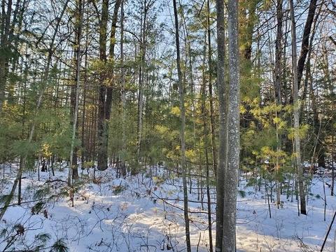 0 Pinecrest, Prescott, MI 48756 photo 5