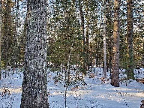0 Pinecrest, Prescott, MI 48756 photo 2