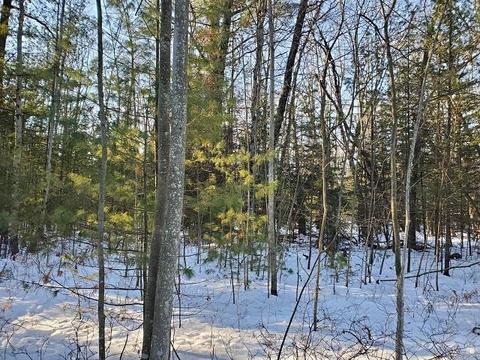 0 Pinecrest, Prescott, MI 48756 photo 4