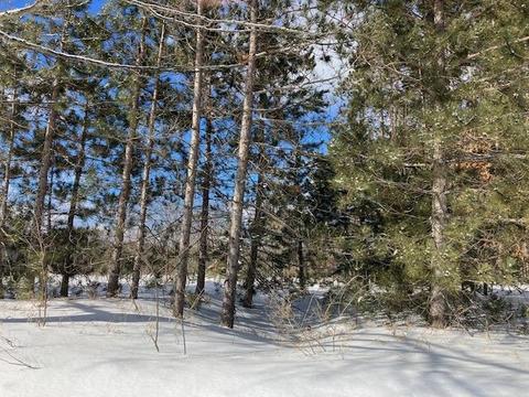 10424 H-1 Dell, Kingsley, MI 49649