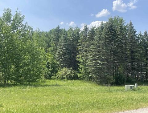 Lot 2 Ringneck Lane, Buckley, MI 49620