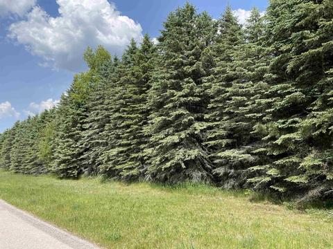 18 Ringneck Lane, Buckley, MI 49620