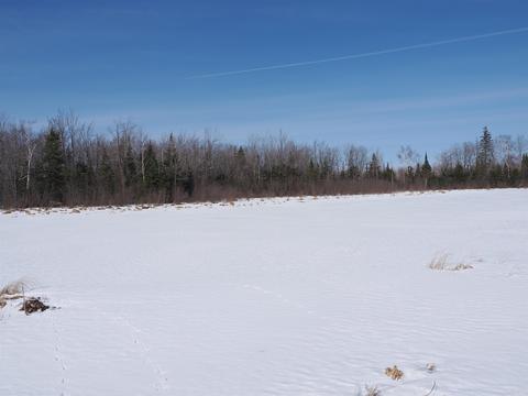 Nnn W M-48, Pickford, MI 49774