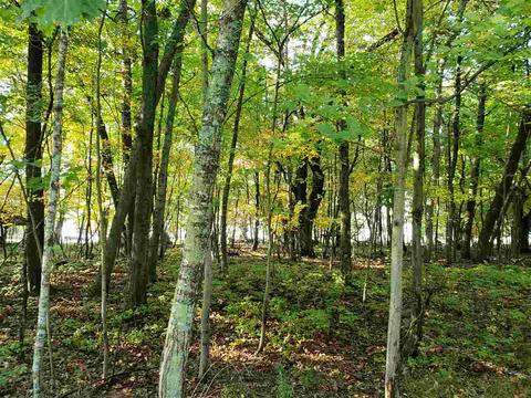 N/a Booth Road, Au Gres, MI 48703 photo 3