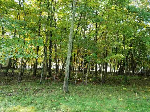N/a Booth Road, Au Gres, MI 48703