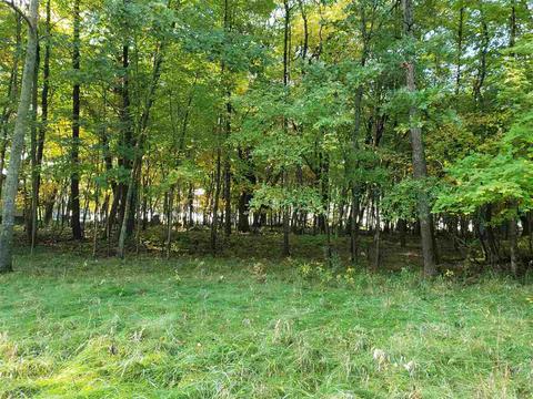 N/a Booth Road, Au Gres, MI 48703 photo 2