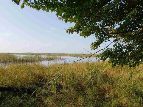 N/a Booth Road, Au Gres, MI 48703 photo 5