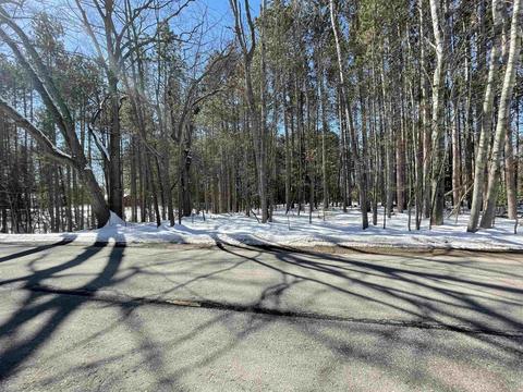 1420 Spring Ave, Lake, MI 48632