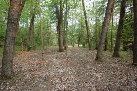 lot 192 w caribou LOT : 192, West Branch, MI 48661