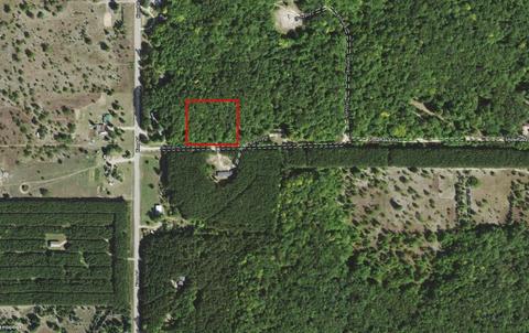 0 Snowflake Trl, Mancelona, MI 49659