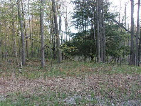 00 Twining, Twining, MI 48766
