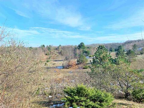 Lot 5 Ranch Drive Lot: 5, Bellaire, MI 49615