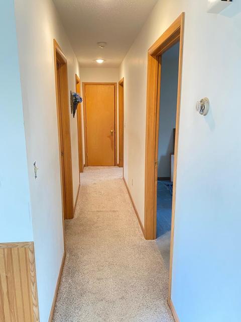 410 S First St, Edmore, MI 48829 photo 3
