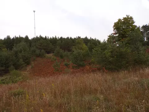 00 45, Manton, MI 49663