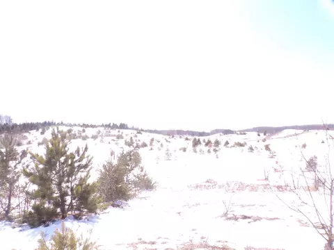 00 45, Manton, MI 49663 photo 5