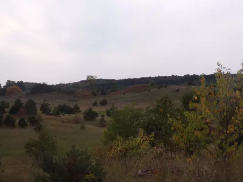 00 45, Manton, MI 49663 photo 7