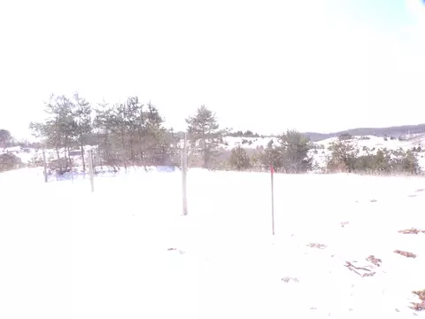 00 45, Manton, MI 49663 photo 6