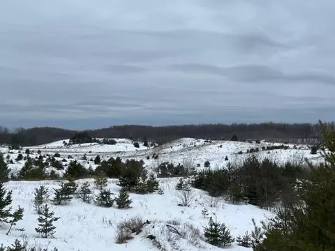 00 45, Manton, MI 49663 photo 2