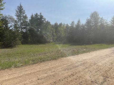 Lot B Betsie River Road Lot: B, Interlochen, MI 49643