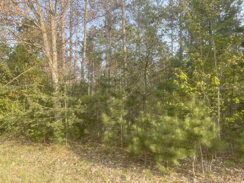 Lot I Riley Lot: I, Interlochen, MI 49643