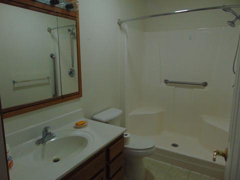1008 E North St, Ithaca, MI 48847 photo 13