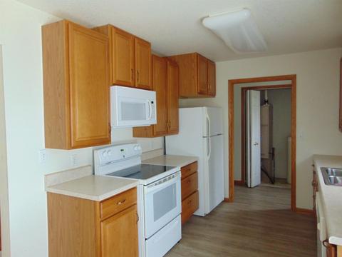 1008 E North St, Ithaca, MI 48847 photo 9
