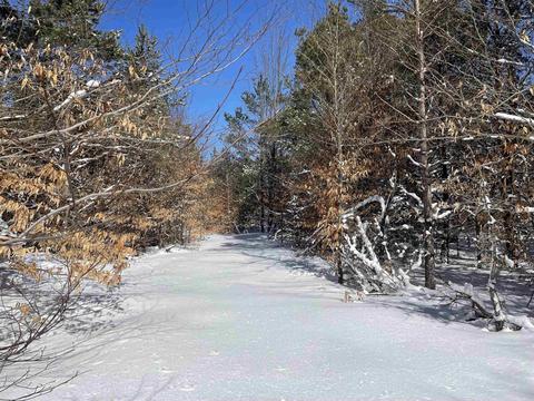 SW Montgomery Road, South Boardman, MI 49680