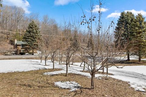 9420 E Lincoln Rd, Cedar, MI 49621 photo 32